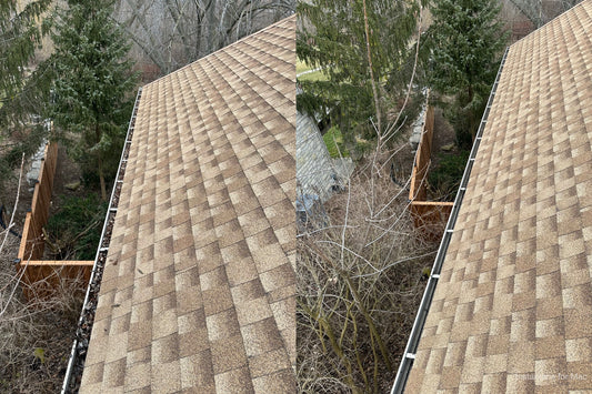 Gutter Cleaning Cambridge: Why you Should Clean Your Gutters