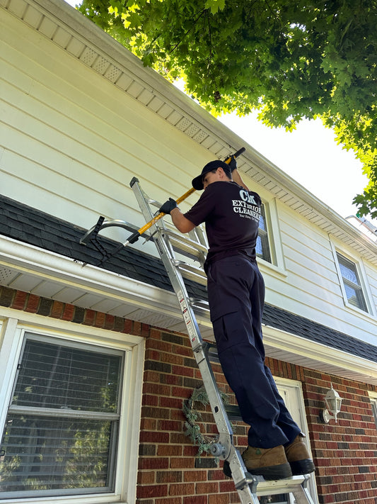 Gutter Cleaning