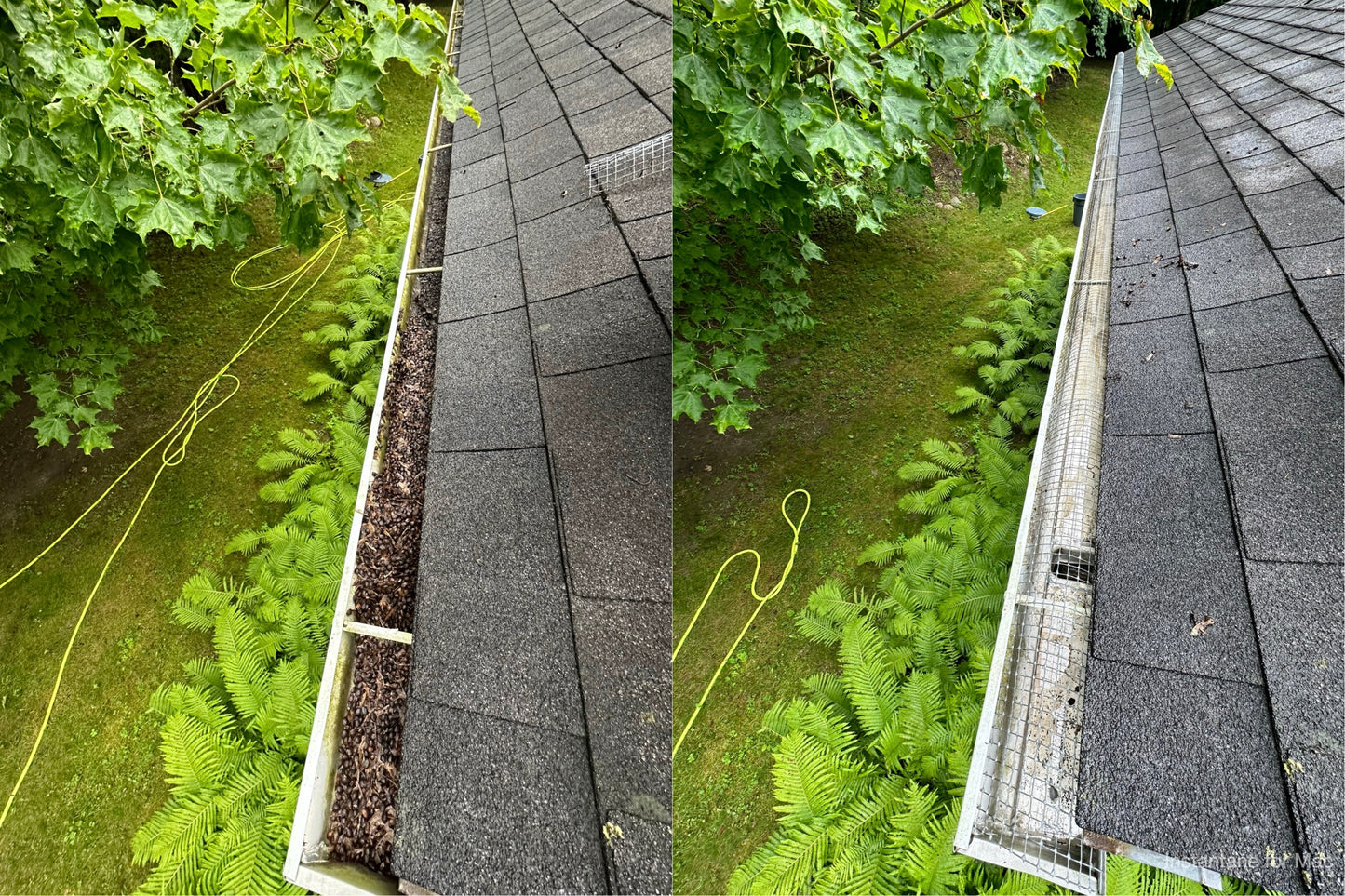 Gutter Cleaning