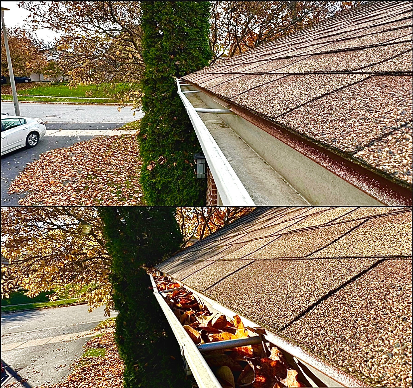 Gutter Cleaning