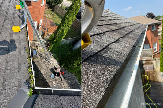 Year-Round Subscription Service