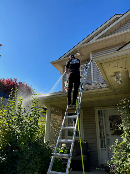 Gutter Cleaning